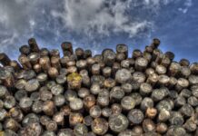 Co to jest logowanie wieloskładnikowe?